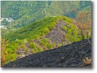 Fotografie ValBrevenna - Panorami - Incendio sul Monte Proventino, Valbrevenna