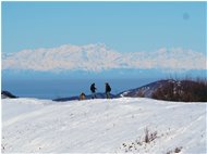  Massiccio del Gran Paradiso(?) innevato - ValBrevenna - 2021 - Panorami - Inverno - Voto: Non  - Last Visit: 16/10/2021 15.58.52 