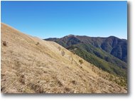 Foto ValBrevenna - Panorami - Monte Antola salendo al Monte Buio