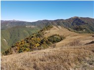  Monte antola dalla vetta del Monte Buio - ValBrevenna - 2017 - Panorami - Estate - Voto: Non  - Last Visit: 25/5/2024 9.22.22 