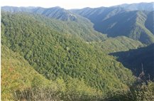  Nel verde della Val Pentemina i villaggi di Costapianella, Scabbiabella e Fallarosa - ValBrevenna - 2015 - Panorami - Estate - Voto: Non  - Last Visit: 4/11/2023 7.44.15 