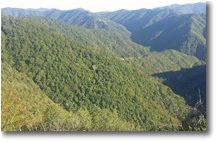 Foto ValBrevenna - Panorami - Nel verde della Val Pentemina i villaggi di Costapianella, Scabbiabella e Fallarosa