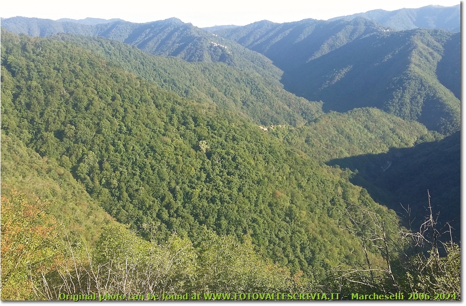 Nel verde della Val Pentemina i villaggi di Costapianella, Scabbiabella e Fallarosa - ValBrevenna - 2015 - Panorami - Estate - Canon Ixus 980 IS