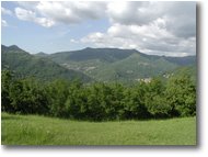 Foto ValBrevenna - Panorami - Paesini di Valbrevenna: Nenno Caserza e Ternano
