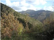  Pendici sud del M. Schigonzo: Caserza Frassinello Crosi - ValBrevenna - 2003 - Panorami - Inverno - Voto: Non  - Last Visit: 13/2/2024 8.58.51 