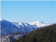  Pineta del Proventino, Monte Tobbio e Monviso sotto la neve - ValBrevenna - 2021 - Panorami - Inverno - Voto: Non  - Last Visit: 25/5/2024 8.29.52 