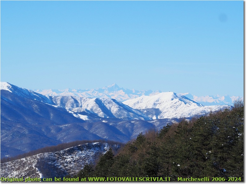 Pineta del Proventino, Monte Tobbio e Monviso sotto la neve - ValBrevenna - 2021 - Panorami - Inverno - Olympus OM-D E-M10 Mark III