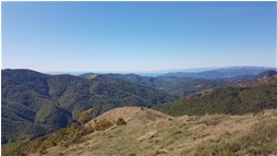  Salendo al Monte Buio: Frassinello, Vaccarezza e la riviera di Ponente - ValBrevenna - 2017 - Panorami - Estate - Voto: Non  - Last Visit: 21/12/2021 0.18.57 