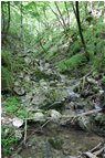  Ruscelli selvaggi tra Tonno e Chiappa - ValBrevenna - 2014 - Woods - Summer - Voto: Non  - Last Visit: 25/9/2023 0.43.8 